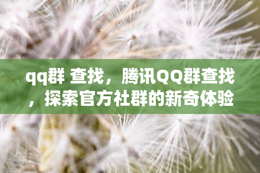 qq群 查找，腾讯QQ群查找，探索官方社群的新奇体验