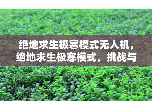 绝地求生极寒模式无人机，绝地求生极寒模式，挑战与生存的艺术