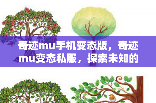 奇迹mu手机变态版，奇迹mu变态私服，探索未知的游戏世界
