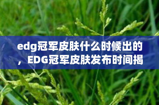 edg冠军皮肤什么时候出的，EDG冠军皮肤发布时间揭秘，万众期待，终于等到你！