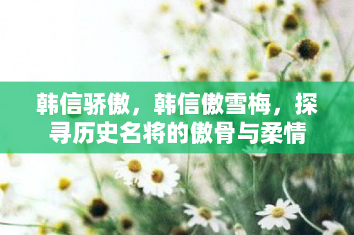 韩信骄傲,韩信傲雪梅,探寻历史名将的傲骨与柔情 韩信骄傲,韩信傲雪梅,探寻历史名将的傲骨与柔情