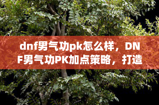 dnf男气功pk怎么样，DNF男气功PK加点策略，打造无敌连招