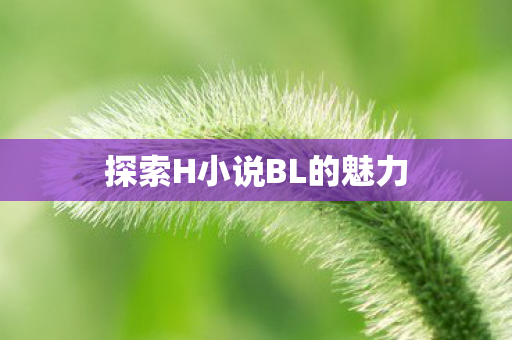探索H小说BL的魅力 探索H小说BL的魅力