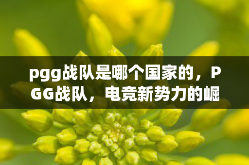 pgg战队是哪个国家的,PGG战队,电竞新势力的崛起之路 pgg战队是哪个国家的,PGG战队,电竞新势力的崛起之路