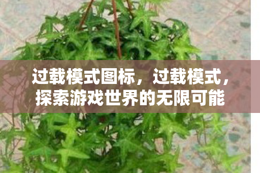 过载模式图标,过载模式,探索游戏世界的无限可能 过载模式图标,过载模式,探索游戏世界的无限可能