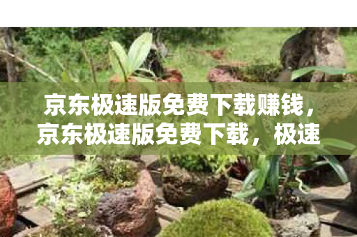 京东极速版免费下载赚钱,京东极速版免费下载,极速体验,尽享购物乐趣 京东极速版免费下载赚钱,京东极速版免费下载,极速体验,尽享购物乐趣