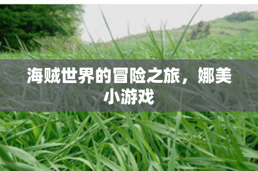 海贼世界的冒险之旅,娜美小游戏 海贼世界的冒险之旅,娜美小游戏