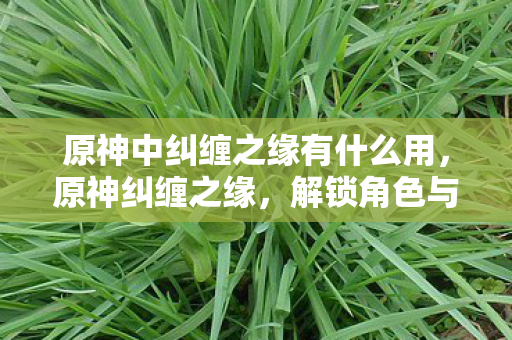 原神中纠缠之缘有什么用,原神纠缠之缘,解锁角色与武器的神秘钥匙 原神中纠缠之缘有什么用,原神纠缠之缘,解锁角色与武器的神秘钥匙
