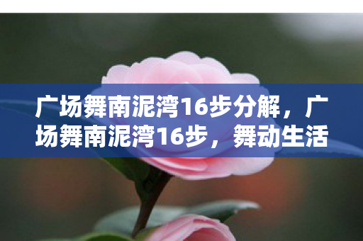 广场舞南泥湾16步分解,广场舞南泥湾16步,舞动生活的艺术 广场舞南泥湾16步分解,广场舞南泥湾16步,舞动生活的艺术