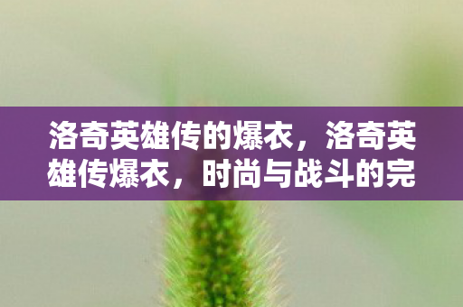 洛奇英雄传的爆衣,洛奇英雄传爆衣,时尚与战斗的完美融合 洛奇英雄传的爆衣,洛奇英雄传爆衣,时尚与战斗的完美融合