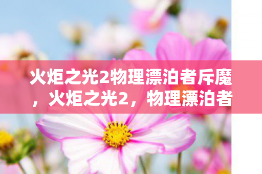 火炬之光2物理漂泊者斥魔,火炬之光2,物理漂泊者的战斗艺术 火炬之光2物理漂泊者斥魔,火炬之光2,物理漂泊者的战斗艺术