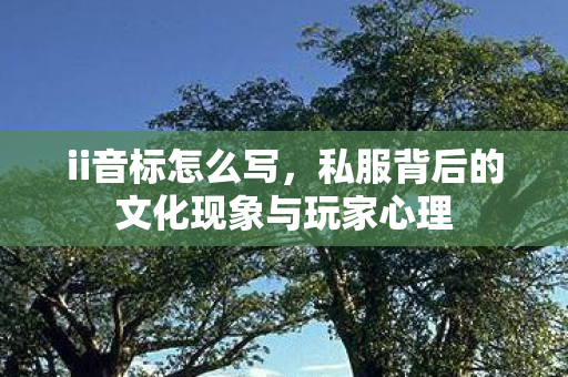 ii音标怎么写,私服背后的文化现象与玩家心理 ii音标怎么写,私服背后的文化现象与玩家心理