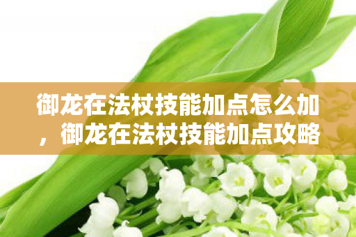 御龙在法杖技能加点怎么加,御龙在法杖技能加点攻略 御龙在法杖技能加点怎么加,御龙在法杖技能加点攻略