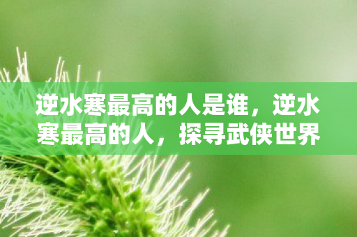逆水寒最高的人是谁,逆水寒最高的人,探寻武侠世界中的巨人身影 逆水寒最高的人是谁,逆水寒最高的人,探寻武侠世界中的巨人身影