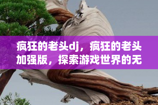 疯狂的老头dj,疯狂的老头加强版,探索游戏世界的无限可能 疯狂的老头dj,疯狂的老头加强版,探索游戏世界的无限可能