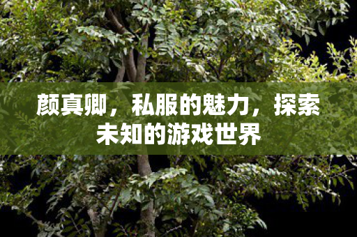 颜真卿,私服的魅力,探索未知的游戏世界 颜真卿,私服的魅力,探索未知的游戏世界