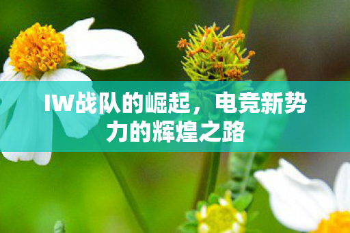 IW战队的崛起,电竞新势力的辉煌之路 IW战队的崛起,电竞新势力的辉煌之路
