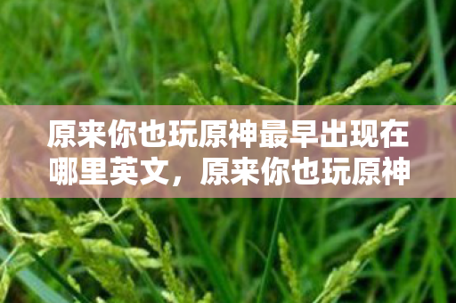 原来你也玩原神最早出现在哪里英文，原来你也玩原神，探寻游戏文化的起源与扩散