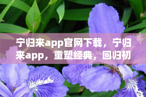 宁归来app官网下载,宁归来app,重塑经典,回归初心的游戏世界 宁归来app官网下载,宁归来app,重塑经典,回归初心的游戏世界