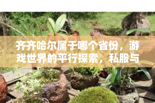 齐齐哈尔属于哪个省份,游戏世界的平行探索,私服与官方服务器的独特魅力 齐齐哈尔属于哪个省份,游戏世界的平行探索,私服与官方服务器的独特魅力