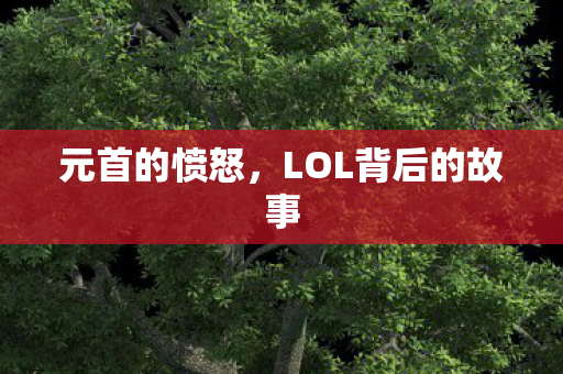 元首的愤怒,LOL背后的故事 元首的愤怒,LOL背后的故事