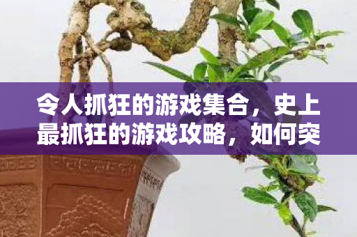 令人抓狂的游戏集合，史上最抓狂的游戏攻略，如何突破疯狂迷宫的极限挑战