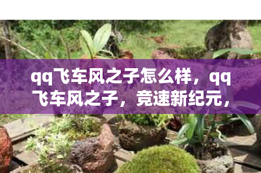 qq飞车风之子怎么样,qq飞车风之子,竞速新纪元,个性与速度的碰撞 qq飞车风之子怎么样,qq飞车风之子,竞速新纪元,个性与速度的碰撞