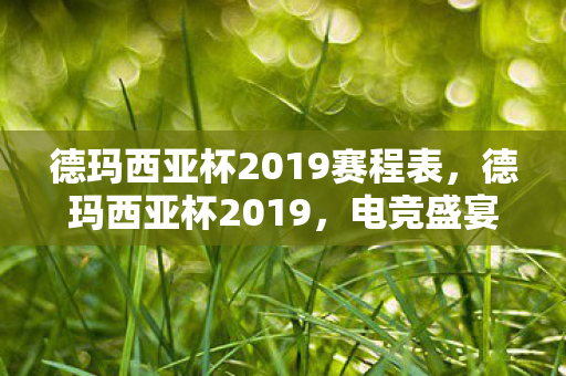 德玛西亚杯2019赛程表,德玛西亚杯2019,电竞盛宴的激情与荣耀 德玛西亚杯2019赛程表,德玛西亚杯2019,电竞盛宴的激情与荣耀