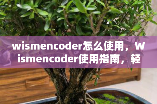 wismencoder怎么使用,Wismencoder使用指南,轻松掌握视频编码工具 wismencoder怎么使用,Wismencoder使用指南,轻松掌握视频编码工具