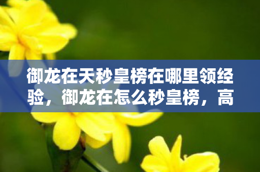 御龙在天秒皇榜在哪里领经验,御龙在怎么秒皇榜,高效攻略与技巧分享 御龙在天秒皇榜在哪里领经验,御龙在怎么秒皇榜,高效攻略与技巧分享