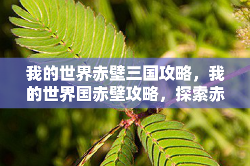 我的世界赤壁三国攻略,我的世界国赤壁攻略,探索赤壁古战场的奇妙之旅 我的世界赤壁三国攻略,我的世界国赤壁攻略,探索赤壁古战场的奇妙之旅