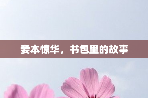 妾本惊华,书包里的故事 妾本惊华,书包里的故事