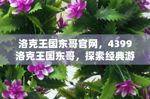 洛克王国东哥官网,4399洛克王国东哥,探索经典游戏的魅力与乐趣 洛克王国东哥官网,4399洛克王国东哥,探索经典游戏的魅力与乐趣