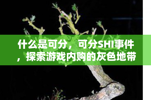 什么是可分,可分SHI事件,探索游戏内购的灰色地带 什么是可分,可分SHI事件,探索游戏内购的灰色地带