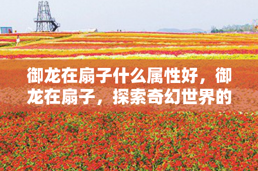 御龙在扇子什么属性好,御龙在扇子,探索奇幻世界的属性之谜 御龙在扇子什么属性好,御龙在扇子,探索奇幻世界的属性之谜