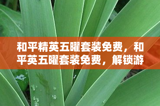 和平精英五曜套装免费,和平英五曜套装免费,解锁游戏新体验,无需额外付费 和平精英五曜套装免费,和平英五曜套装免费,解锁游戏新体验,无需额外付费