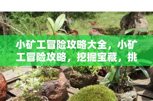 小矿工冒险攻略大全,小矿工冒险攻略,挖掘宝藏,挑战未知! 小矿工冒险攻略大全,小矿工冒险攻略,挖掘宝藏,挑战未知!