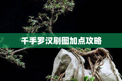 千手罗汉刷图加点攻略 千手罗汉刷图加点攻略