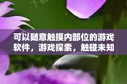 可以随意触摸内部位的游戏软件,游戏探索,触碰未知的乐趣 可以随意触摸内部位的游戏软件,游戏探索,触碰未知的乐趣