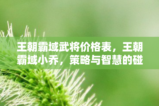 王朝霸域武将价格表,王朝霸域小乔,策略与智慧的碰撞 王朝霸域武将价格表,王朝霸域小乔,策略与智慧的碰撞