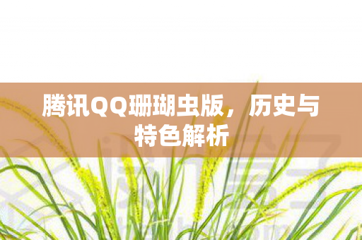 腾讯QQ珊瑚虫版,历史与特色解析 腾讯QQ珊瑚虫版,历史与特色解析