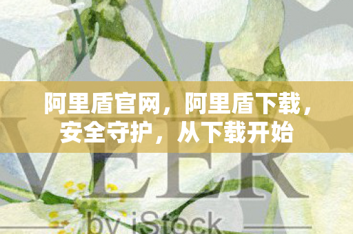 阿里盾官网,阿里盾下载,安全守护,从下载开始 阿里盾官网,阿里盾下载,安全守护,从下载开始