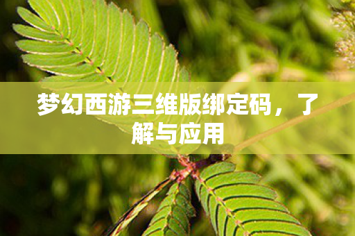 梦幻西游三维版绑定码,了解与应用 梦幻西游三维版绑定码,了解与应用