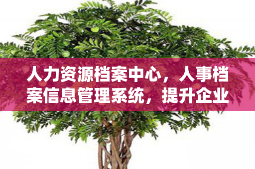 人力资源档案中心，人事档案信息管理系统，提升企业管理效率的关键工具