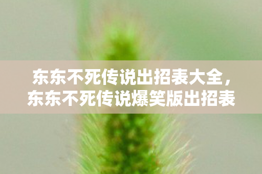 东东不死传说出招表大全，东东不死传说爆笑版出招表