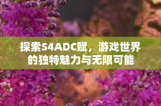 探索S4ADC赋,游戏世界的独特魅力与无限可能 探索S4ADC赋,游戏世界的独特魅力与无限可能