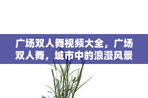 广场双人舞视频大全,广场双人舞,城市中的浪漫风景线 广场双人舞视频大全,广场双人舞,城市中的浪漫风景线