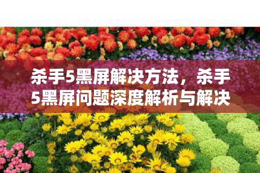 杀手5黑屏解决方法,杀手5黑屏问题深度解析与解决之道 杀手5黑屏解决方法,杀手5黑屏问题深度解析与解决之道