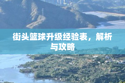 街头篮球升级经验表,解析与攻略 街头篮球升级经验表,解析与攻略