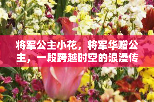 将军公主小花,将军华赠公主,一段跨越时空的浪漫传奇 将军公主小花,将军华赠公主,一段跨越时空的浪漫传奇